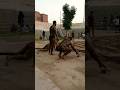 Wrestler Daily Routine Cardio Exercise Viral Shortvideo Shorts Fitnessmotivation Trending