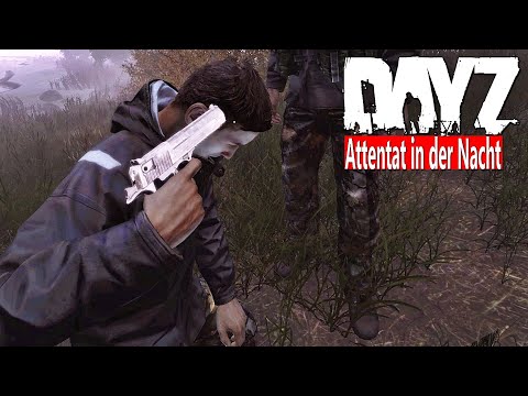 DAYZ - FIRST IMPRESSION in the NEW UPDATE 1.17 - ATTACK in the NIGHT - FRIENDLY is POWER - DAYZ
