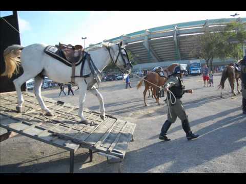CAVALARIA PMCE 2010.wmv