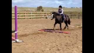 preview picture of video 'Horse Jumping Classes'