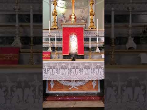 Domenica delle palme 2020