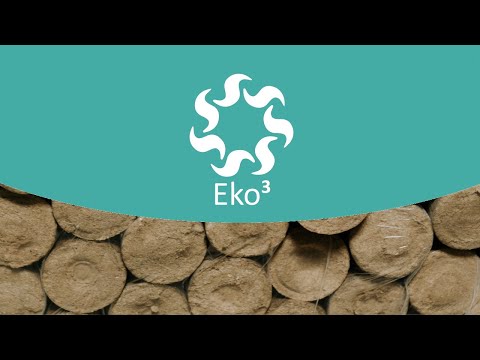 download lagu mp3 mp4 Eko3, download lagu Eko3 gratis, unduh video klip Eko3