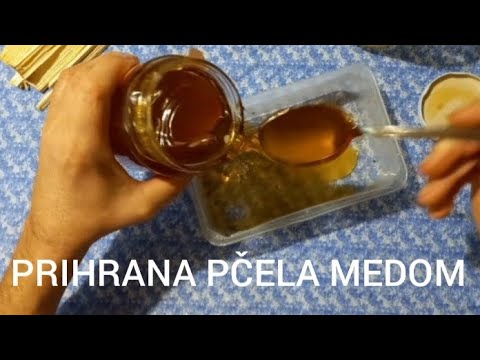 PRIHRANJIVANJE PČELA MEDOM DA ILI NE ?