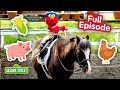 Elmo Visits The Farm FOUR Sesame Street Full Episodes 90 Minutes