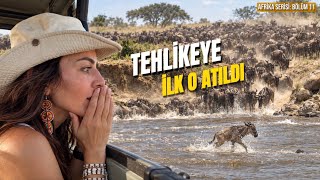 TEHLİKEYE İLK O ATILDI! Sonra Bütün Sürü Peşinden Geldi! | SERENGETI B
