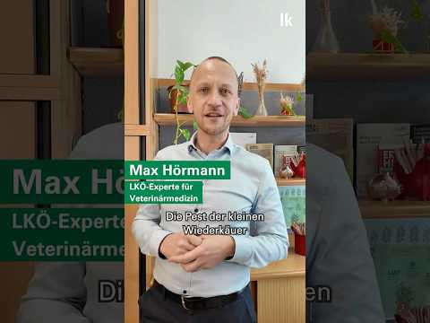 Pest der kleinen Wiederkäuer - Hochansteckende Tierseuche