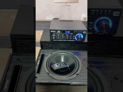 SPEAKER VS CAR KEYS - Bass Test✨ #hifi #amplifier #woopker #ak45pro #shorts #woofer #trend #dj