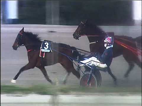 Trotto 24/01/2020 - 4ª corsa