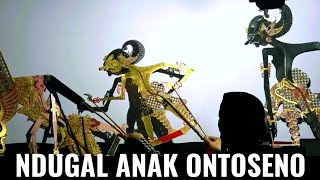 Download lagu Waduh wong gerang di ombeni anggur..!! Bolodewo buyer di ombeni Karo anak ontoseno mp3