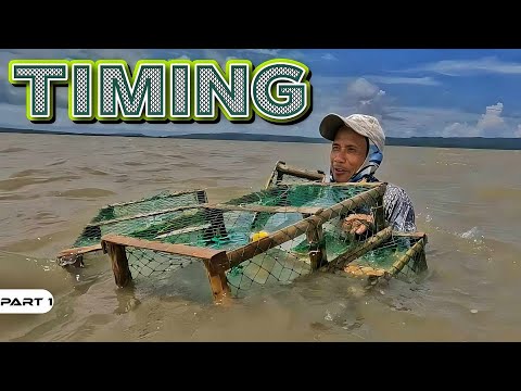 P1-Alimasag Catch and Cook - EP1071