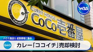 カレー「ココイチ」売却検討 ハウス食品G 成長領域に集中【WBS】