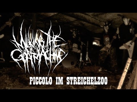 Milking The Goatmachine - Piccolo im Streichelzoo (Official Music Video)