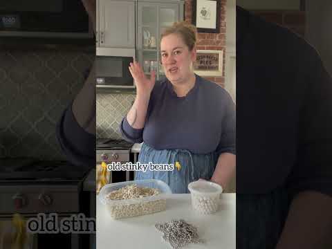 The right amount of pie weights for standard AND deep dish pans: it’s gotta be 🫘 PIE BEANS! 🫘