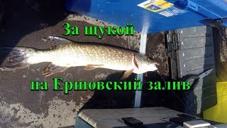 Ссылка