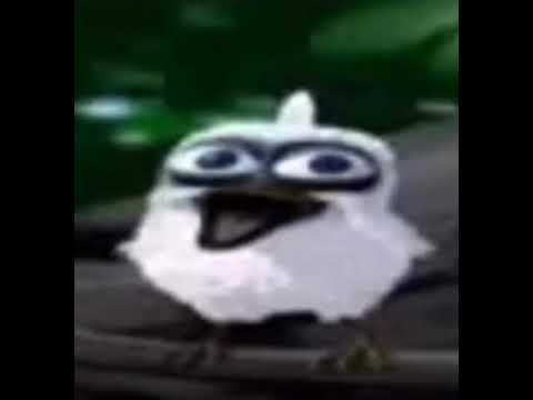 white bird screaming with blank face