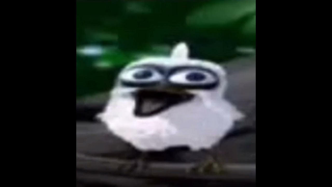 white bird screaming with blank face