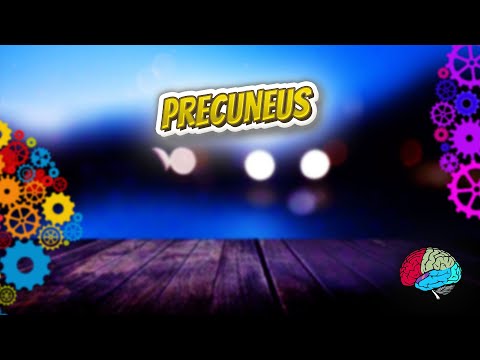 download lagu mp3 mp4 Precuneus, download lagu Precuneus gratis, unduh video klip Precuneus
