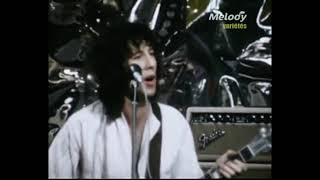 FLEETWOOD MAC Homework stereo