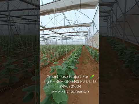 Video Gallery