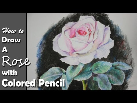 How to Draw A Rose with Colored Pencil