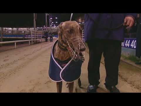 2005 TV TROPHY FINAL - ERICAS EQUITY