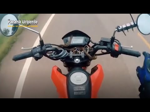 Motociclista leva susto ao ver cobra marrom aparecendo no guidão
