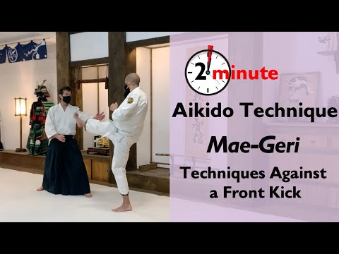 Mae Geri - The Aiki Dojo 2 Minute Technique #aikido #maegeri #budo