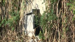 eboli-sgomberata-l-ex-apoff-decine-di-immigrati-senza-tetto