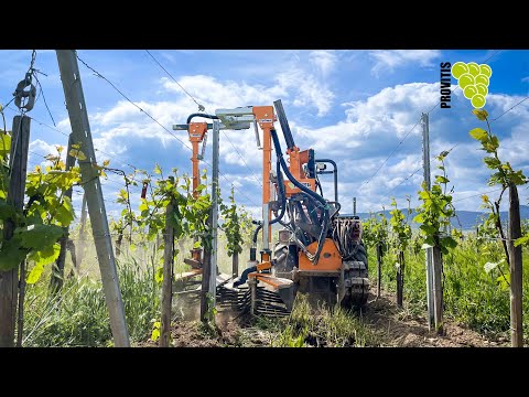 Provitis - Epampreuse SRB 22