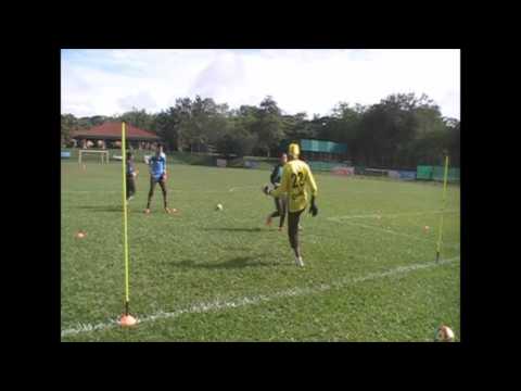 CALENTAMIENTO ESPECIFICO  MAESTRO PEDRO ZAPE.