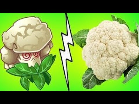 Pvz 2 Cauli power Solo vs All zombies endless Long time