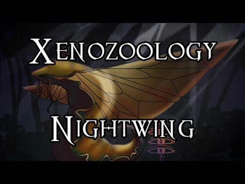 Xenozoology: Nightwing - 40K Theories