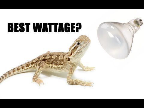 YouTube video about: What watt uvb bulb for leopard gecko 20 gallon tank?