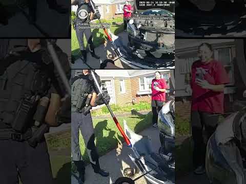 Watch: Police remove 3-foot-long python from car grille #shorts