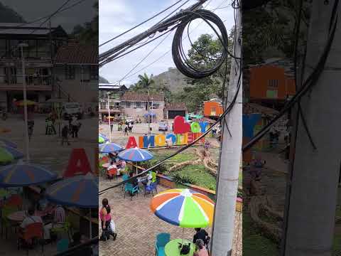 subregión del Occidente del departamento de Antioquia  #heliconia