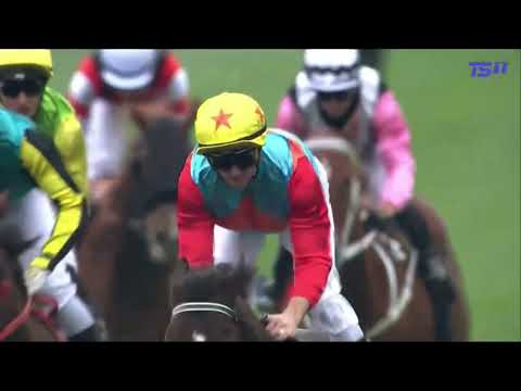 KA YING RISING (NZ) 16 CONSECUTIVE WINS | HONG KONG SPRINT GROUP 1 2025