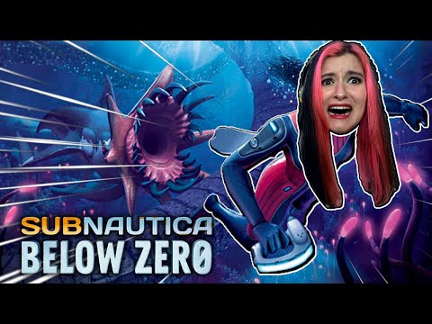 Cold Waters, New Beginnings: The First Dive Below Zero