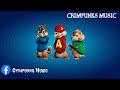 Eki x Luna DJO Puca CHIPMUNKS af Chimp Eki x Luna DJO Puca CHIPMUNKS af Chimp