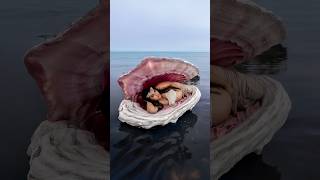 Era pra ser uma concha 🐚 😱😂