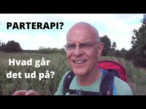 6 - Hvad går parterapi ud på