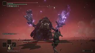 Elden Ring PC Starscourge Radahn ラダーン 召喚せず攻略