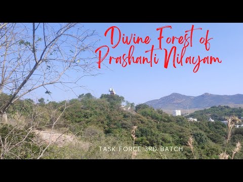 Divine Forest around Prashanti Nilayam