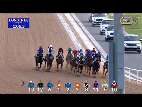 Plus Que Parfait - 2019 UAE Derby (G2)