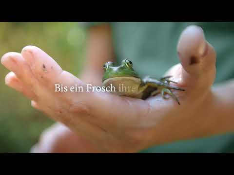 Küss keinen Frosch, denn es könnte ein Prinz sein - Ü40-Liebesroman
