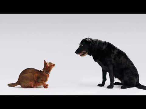 Paskolų Klubas - Abipusė Nauda | Pick a Story