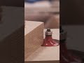 Router Roundover Shorts