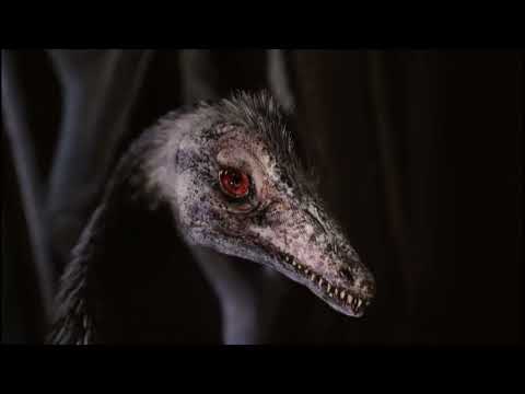 Natural History Museum Alive [2014] - Archaeopteryx Screen Time