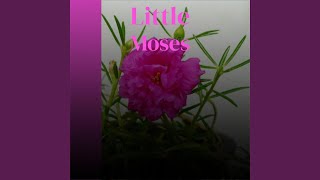 Little Moses
