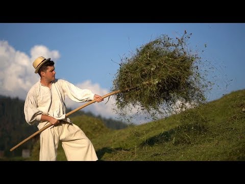 PAUL ANANIE - HOREA FECIORULUI NEÎNSURAT