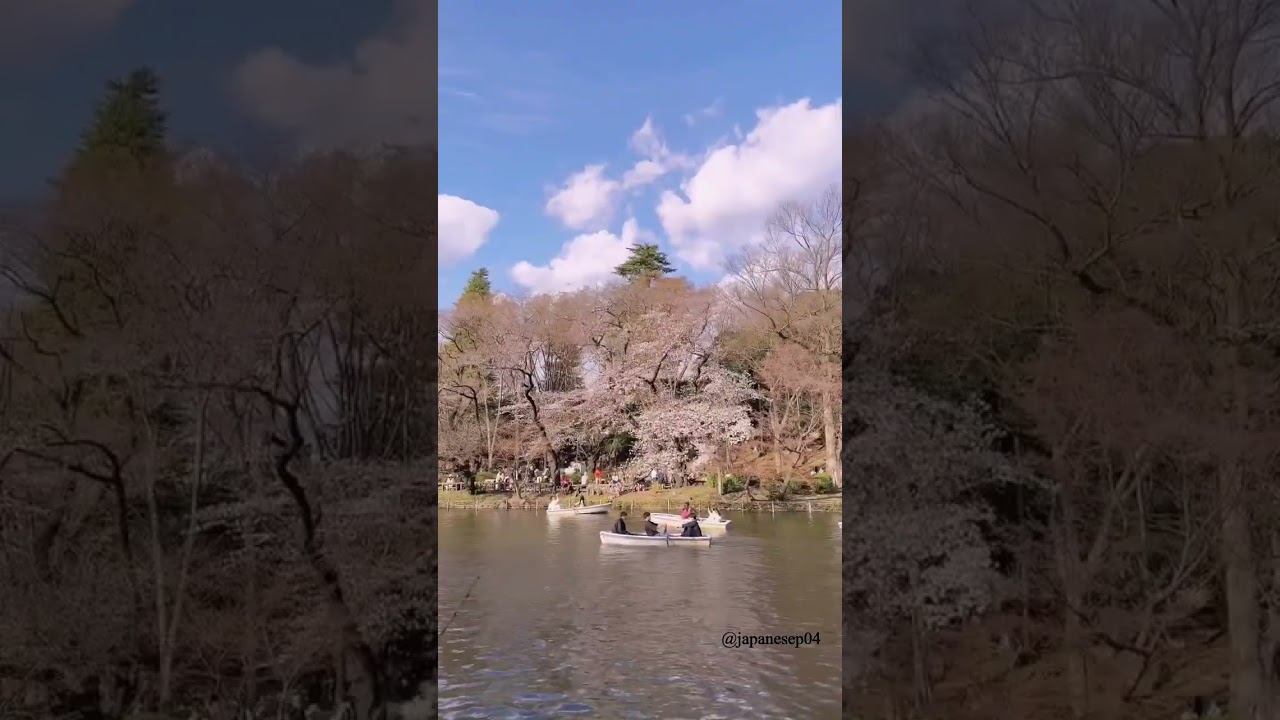 YouTube Short thumbnail